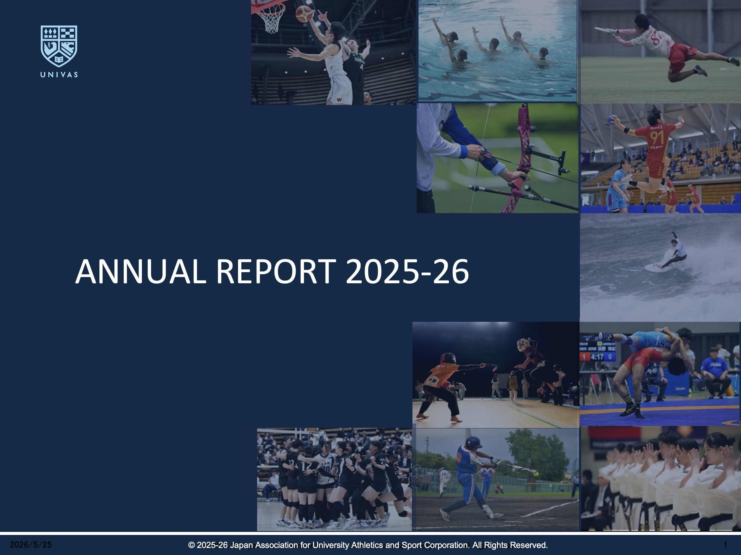 ANNUAL REPORT